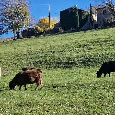 A Pas D'ane Tatil Evi
